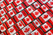 Canada Flag Urban Grunge Pattern