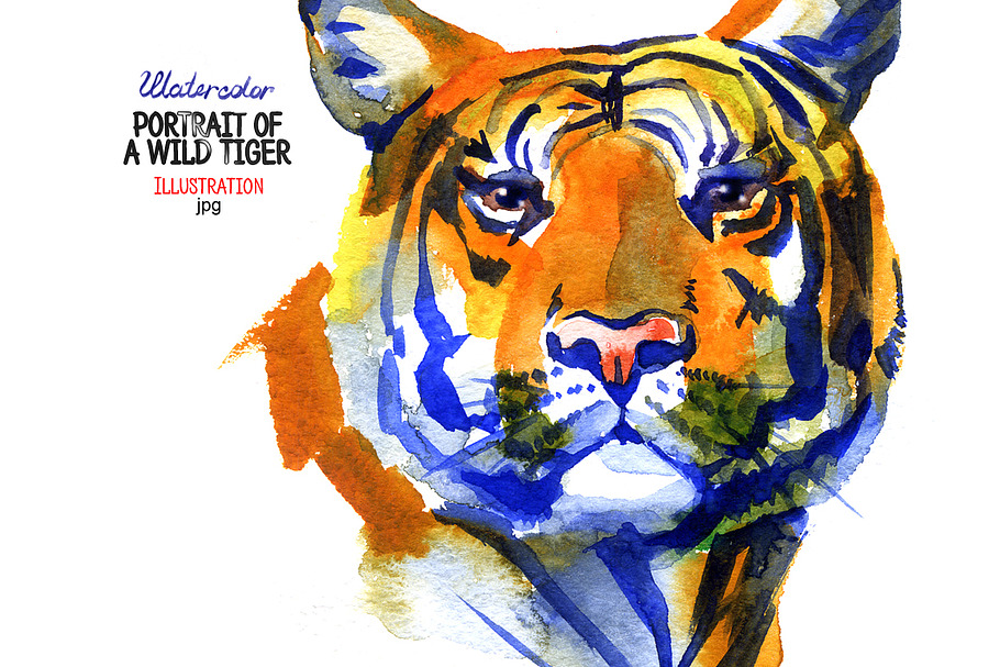 Watercolor tiger in Illustrations - product preview 8