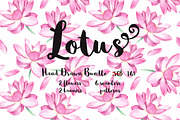 10 lotus patterns & backgrounds