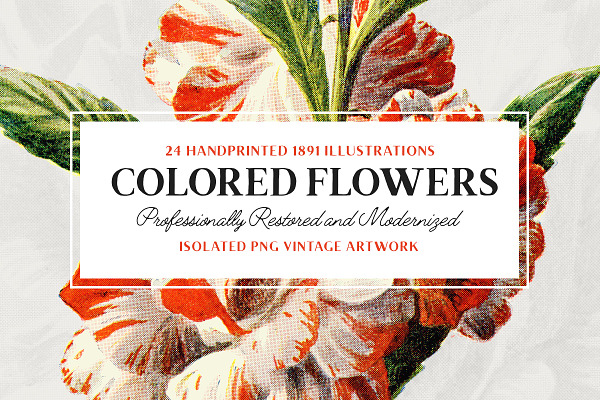 24 Colored Flower Illustrations