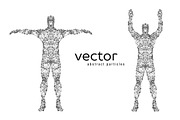 Vector illustration of male body