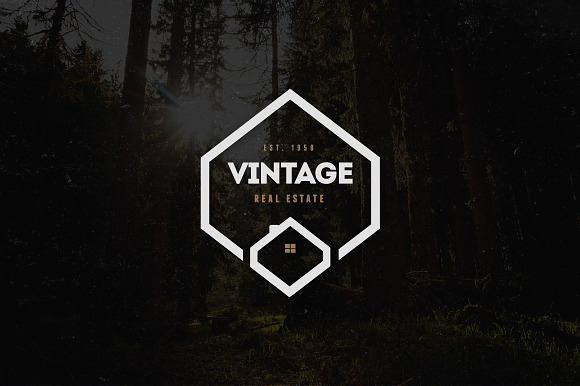 Vintage Logos & Badges Vol. 21 in Logo Templates - product preview 1