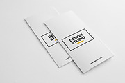 Creative Agency 3fold Brochure