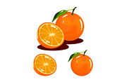 Orange Fruit Realistic Vector