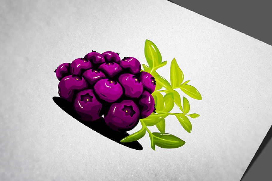Blueberry Fruit Realistic Vector in Objects - product preview 8
