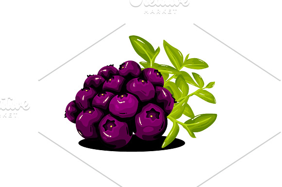 Blueberry Fruit Realistic Vector in Objects - product preview 2
