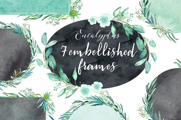 Eucalyptus. Watercolor clipart. in Illustrations - product preview 5