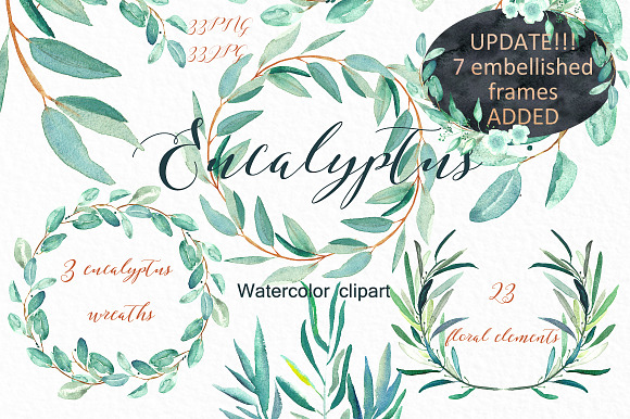 Eucalyptus. Watercolor clipart. in Illustrations - product preview 6
