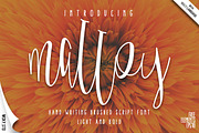 Malloy Font with Elements
