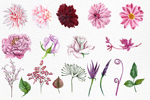 Watercolor flowers clipart in Illustrations - product preview 1