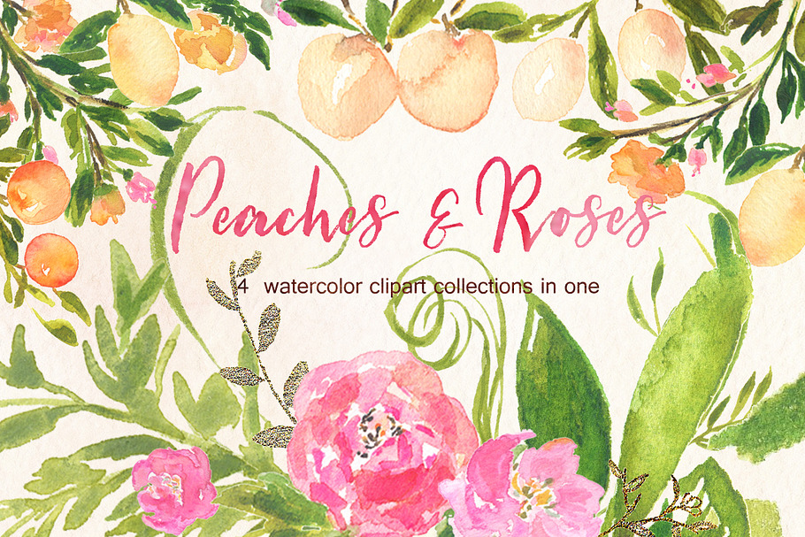 Peaches Roses  and gold watercolor