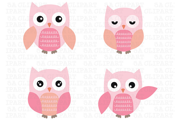 Cute Owl Clipart in Illustrations - product preview 2