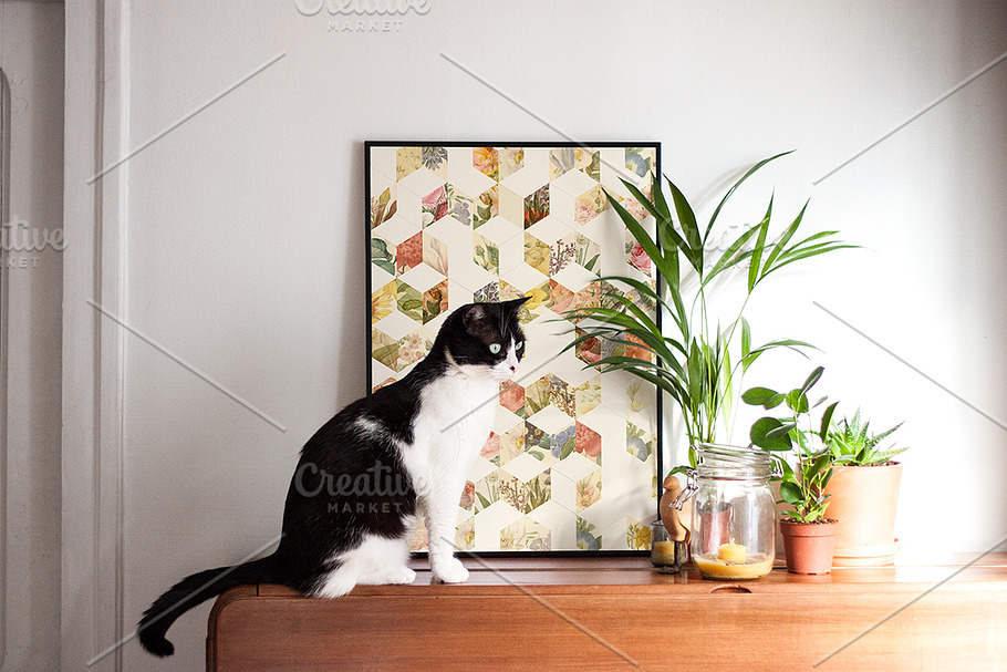 Framed Poster on a Piano with a Cat in Product Mockups - product preview 8