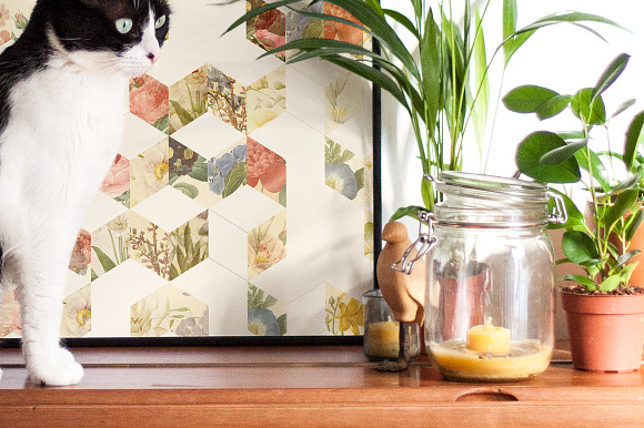 Framed Poster on a Piano with a Cat in Product Mockups - product preview 1