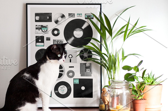 Framed Poster on a Piano with a Cat in Product Mockups - product preview 2