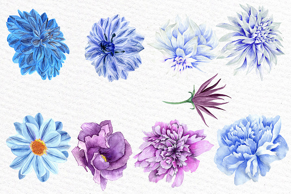 Watercolor Blue Flowers Clipart in Illustrations - product preview 1