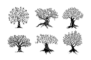 Olive trees set vector illustration