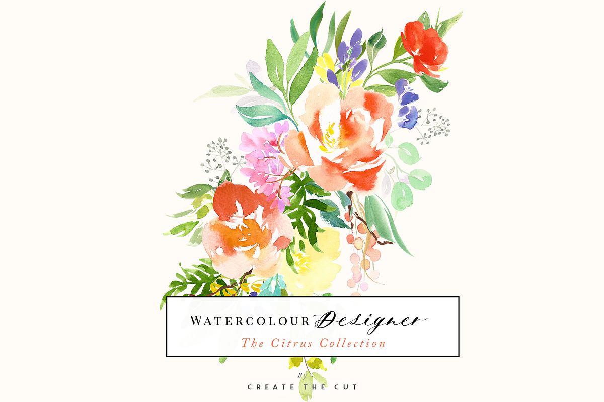 The Citrus Collection in Illustrations - product preview 8