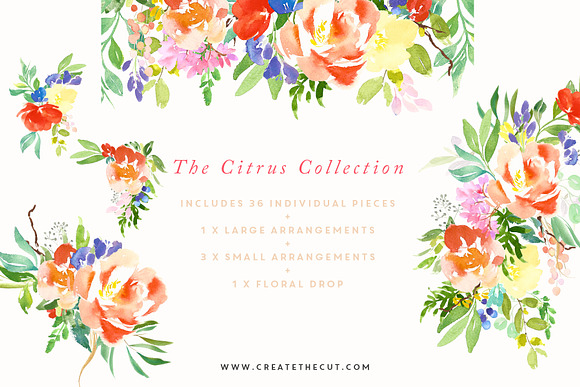 The Citrus Collection in Illustrations - product preview 1