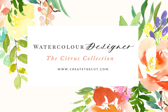 The Citrus Collection in Illustrations - product preview 2