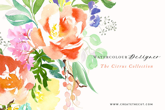 The Citrus Collection in Illustrations - product preview 3