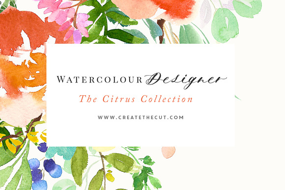 The Citrus Collection in Illustrations - product preview 4