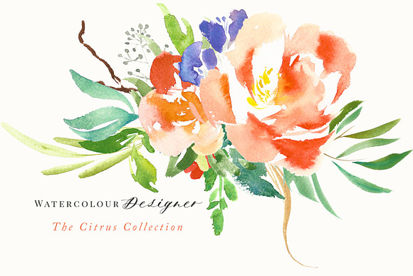 The Citrus Collection in Illustrations - product preview 5
