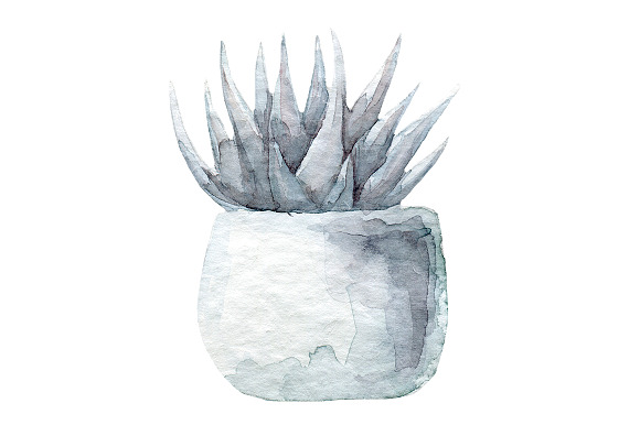 4 Succulents watercolor collection in Illustrations - product preview 2
