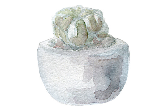 4 Succulents watercolor collection in Illustrations - product preview 4