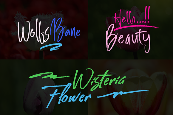 Fonts Trio in Script Fonts - product preview 7