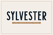 Sylvester Typeface