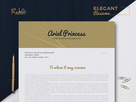 Elegant resume/cv - Sketch Support in Resume Templates - product preview 4