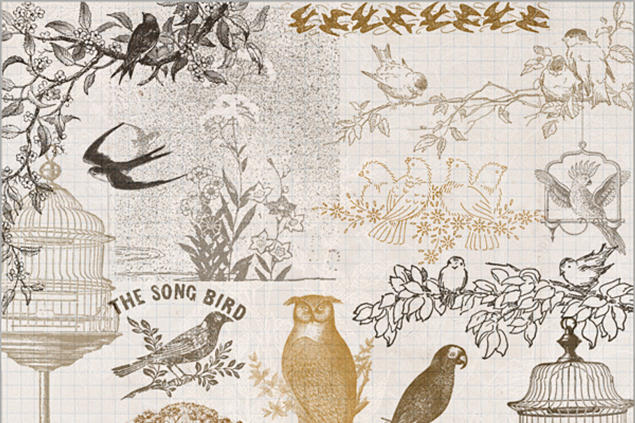 Vintage Bird Brushes in Photoshop Brushes - product preview 8