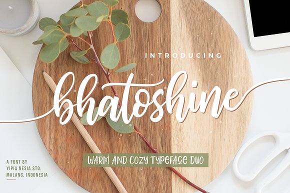 Bhatoshine - Fancy Font Duo in Website Fonts - product preview 6