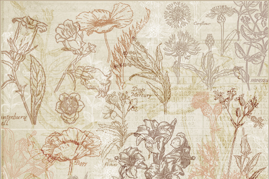 Vintage Floral Brushes 2 in Photoshop Brushes - product preview 8