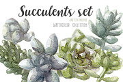 Watercolor succulents set