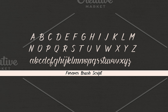 Forever Brush Script in Script Fonts - product preview 3