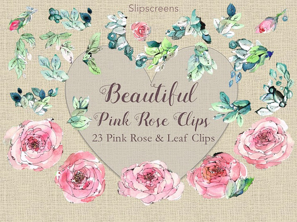 Beautiful Pink Rose Design Elements in Illustrations - product preview 1