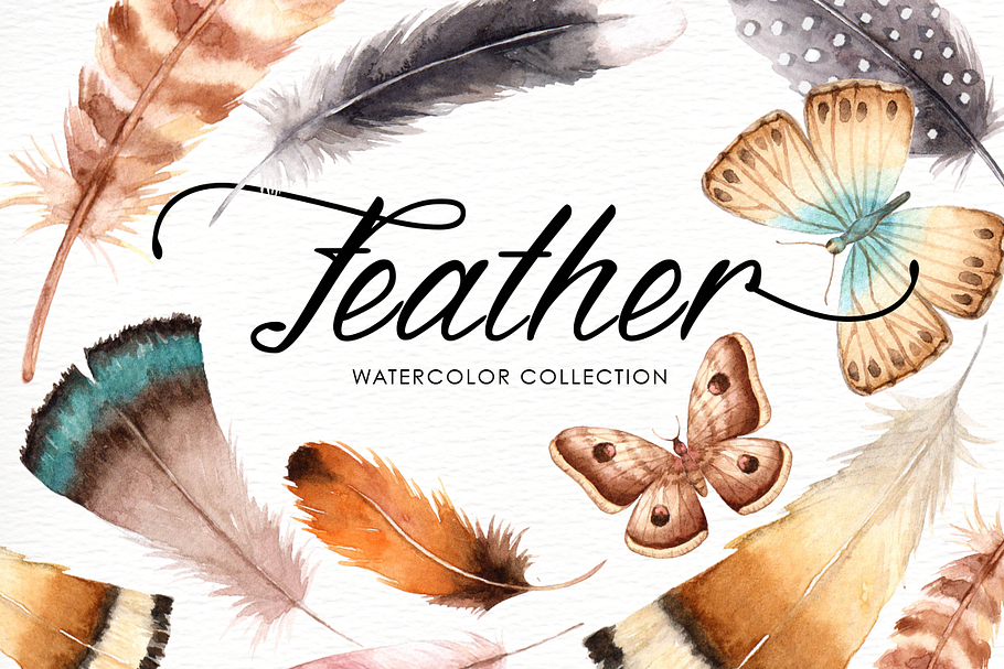 Feather Watercolor Collection in Illustrations - product preview 8
