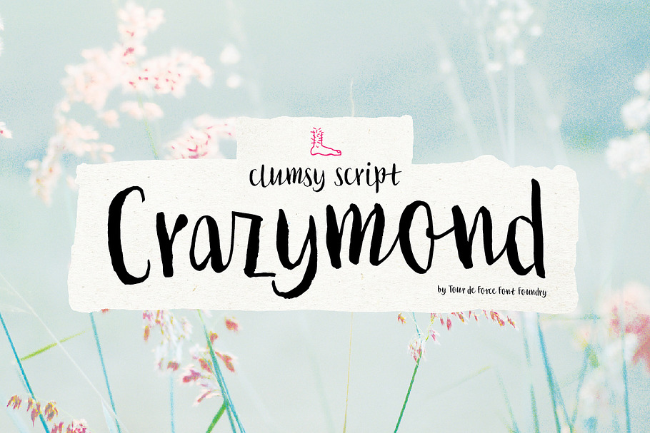 Crazymond font family in Script Fonts - product preview 8