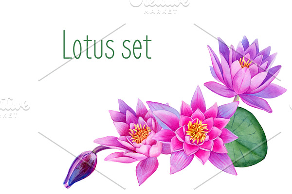 Lotus set