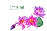 Lotus set