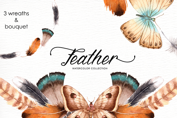 Feather Watercolor Collection in Illustrations - product preview 5