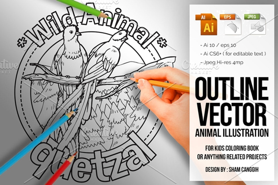 Animal Outline Vector - Quetzal in Illustrations - product preview 8