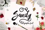 Sandy Pro