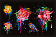 Watercolor roses, little bird vector