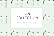 A Plant Collection