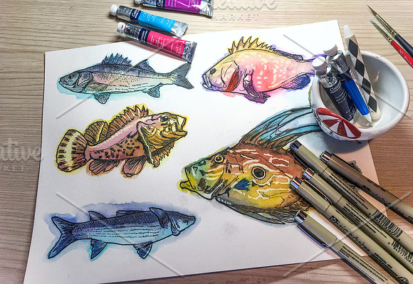 Watercolor Fish Clipart (big set) in Illustrations - product preview 1