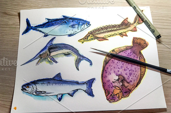 Watercolor Fish Clipart (big set) in Illustrations - product preview 10
