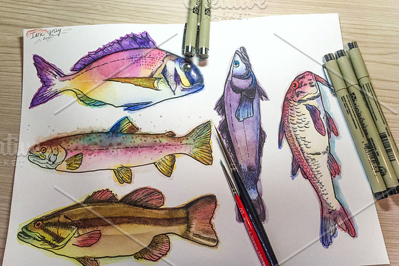 Watercolor Fish Clipart (big set) in Illustrations - product preview 12
